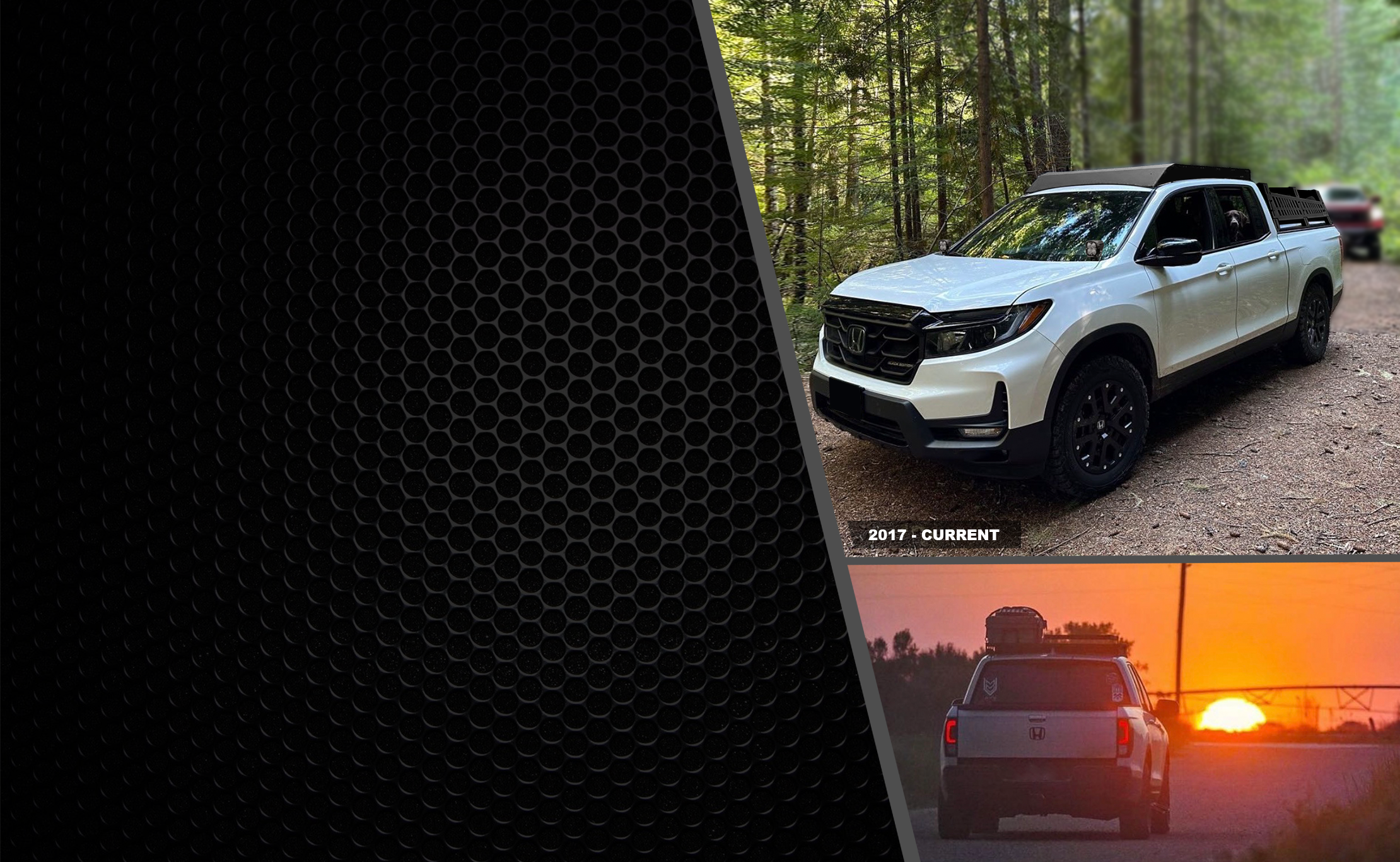 ridgeline_319c306d-65fb-4326-a6db-1f1884e89aa2.png